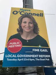 Dublin politicians accused of using public meeting posters to get around  election rules