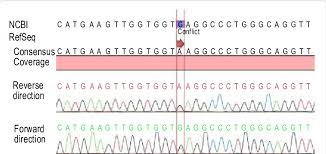 Sickle cell anaemia is caused by a mutation in a gene called haemoglobin beta (hbb), located on chromosome 11. Electropherogram Of Bidirectional Sequencing Analysis Demonstrated Download Scientific Diagram