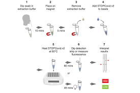 The two main branches detect either the presence of the virus or of antibodies produced in response. Rapid Test For Covid 19 Shows Improved Sensitivity Mit News Massachusetts Institute Of Technology