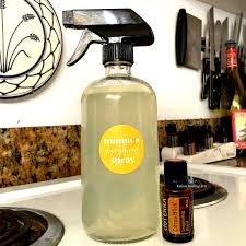 I wiped down my counters with it , cleaned the bookshelves, the walls, and had it handy for any little sticky grimy spot that popped up. Diy All Purpose Cleaner Without Vinegar Falcon Healing Arts