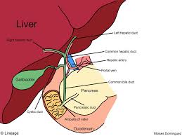 Maybe you would like to learn more about one of these? Cholelithiasis And Biliary Colic Gastrointestinal Medbullets Step 2 3