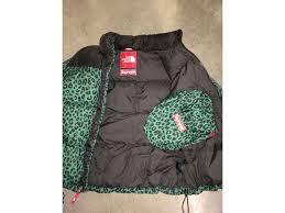 Supreme x tnf paper nuptse jacket?! Supreme North Face Nuptse Technopreneur Circle