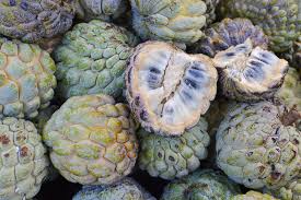 Image result for Annona squamosa