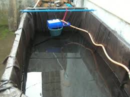 Kolam ikan minimalis unik dari kayu. Tukangsapu Web Id Knowledge Sharing Kolam Koi Minimalis