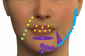 Tara Osman (taraosman25)