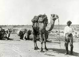 Just as a ship is constructed to deal with all the problems that arise from being in the water, so a camel is constructed to live and travel and survive in the desert. Why Are Camels Called The Ship Of The Desert Quora