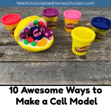 U do projects in those to. 10 Awesome Ways To Make A Cell Model Weird Unsocialized Homeschoolers