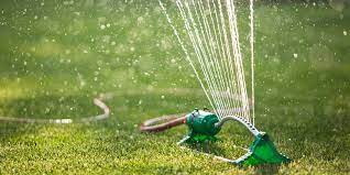 In this piece, i shared my thoughts on how long you should water lawn with an oscillating sprinkler. How Often Should I Water My Lawn