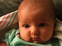 Fundraiser for David Warner Jr. by Wendy Warner : Support the Shoshana  Warner family