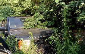 Maybe you would like to learn more about one of these? Kereta Mewah Dibiarkan Mereput Oleh Tuan Mereka Di Lot Parkir Ini