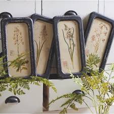 Black And White Botanical Prints Framed Black Framed Botanical Prints Set Of 4 Framed Botanical Prints Framed Botanicals Botanical Prints