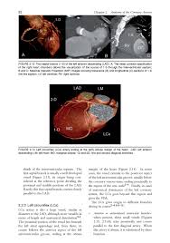 There are termed diagonal due to them branching from their parent vessel at acute angles. Atlas Of Non Invasive Coronary Angiography By Multidetector Computed Tomography Buch
