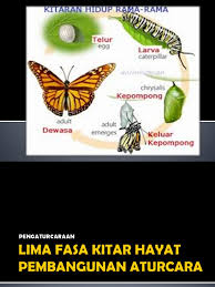 Konsep asas pemikiran komputasional otros contenidos Fasa Pembangunan Aturcara