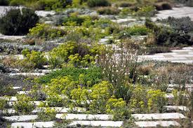 Epingle Par Mathieu Lautier Sur Espace Exterieur En 2020 Planter Des Arbres Jardins De Vivaces Jardins