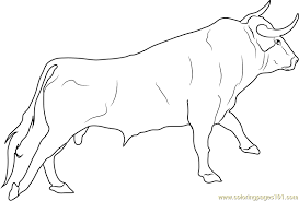 Spanish Fighting Bull Coloring Page Free Bull Coloring Pages Coloring Pages Outline Drawings Bull