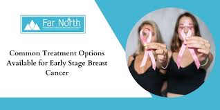 Of course, your specialist is the main person whose advice you should follow but it doesn't do anyone harm. Common Treatment Options Available For Early Stage Breast Cancer