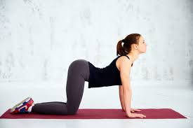 Most women will endure back pains at some point in their pregnancy, but gently rocking between cat and cow poses will work to warm up the spine and stretch the body, hopefully getting you back on track. The Cat Cow Yoga Stretch Has Many Benefits For Your Back Torso