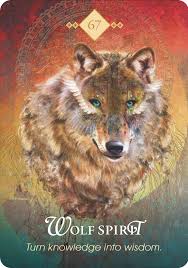 Like with tarot, you can decide at any point what energy you'd like to embody/invoke/invite in at anytime. Spirit Animal Oracle Nr 67 Wolf Spirit Turn Knowledge Into Wisdom Protection Message Animal Spirit Cards Animal Totem Spirit Guides Animal Spirit Guides