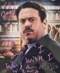 Some recent acquisitions Sophia di Martino Signed my pop and a print TTM  Took a few months and Dan Fogler From Liverpool Comic Con courtesy of  Woodys memorabilia Autographs, Consignments & Private