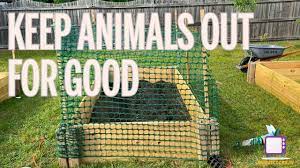 We did not find results for: Keep Animals Out Of Your Raised Bed Gardens For Good Youtube