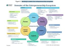 Isenberg S Model Of An Entrepreneurship Ecosystem In 2020 Ecosystems Entrepreneurship Startup Infographic