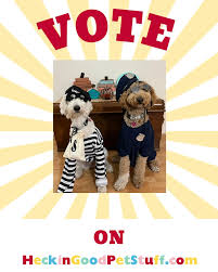 Kodi Mann (@heckingoodpetstuff) • Instagram photos and videos