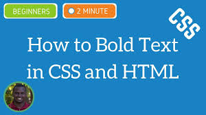 The easiest option would be to wrap the first letter of each word in a <span>. How To Bold Text In Css And Html Css Tutorial Youtube