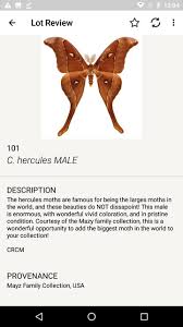 Check spelling or type a new query. The Butterfly Company Auction For Android Apk Download