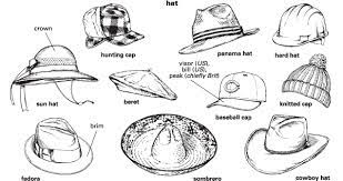 Brim Of A Hat Definition Clip Art Library