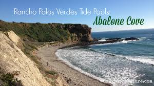 Rancho Palos Verdes Tide Pools Abalone Cove