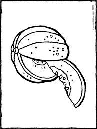 Melone Kiddimalseite