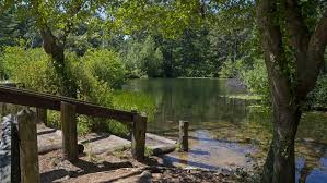 How many miles are there in myles standish state park? Myles Standish Largest State Forest