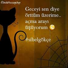 Geceyi Sen Diye Orttum Uzerime Acma Arayi Usuyorum Ozlusozler Guzelsozler Iyisoz Sozler Anlamlisozler Yaza Sibelgokce Aforizma Guzel Soz