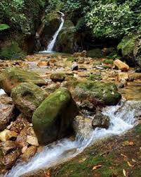 Jun 28, 2021 · parque nacional soberanía, a quick day trip from the glass towers of panama city, is one of the most accessible tropical rainforests in panama. 75 Ideas De My Name Is Panama En 2021 Panama Jornada Mundial De La Juventud Canal De Panama