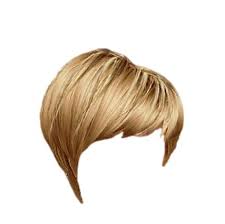 Hair Png Hair Png How To Draw Hair Hair Images