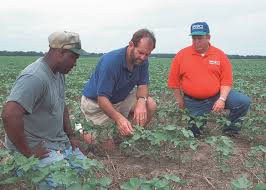 Explore key colorado state university information including application requirements, popular majors, tuition, sat scores, ap credit policies, and more. To Boost Ipm Adoption Treat It As A Complex Social System