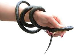 Amazon Com Realistic Fake Snake 47 Inch Soft Rubber Mamba Snakes Toys Garden Props Funny Halloween Prank Decoration In 2020 Halloween Pranks Mamba Snake Mens Bracelet