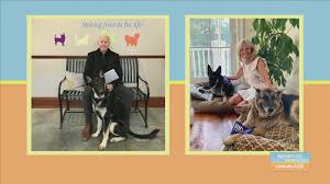Joe biden's german shepherd champ passed away this weekend. First Dogs Champ And Major To Be Featured In Puppy Bowl Ad Cbs19 Tv