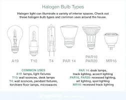 Light Bulb Conversion Chart Gelium Club