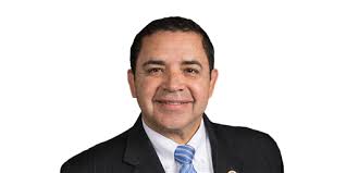 Texas House District 28 Election 2024 Live Results