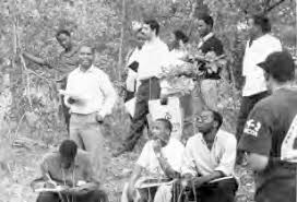 Image result for Brachystegia michelmorei