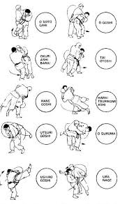 Aikido Took Basic Judo Techniques And Incorporated Them Into Their Style Martial Arts Sparring Karate Martial Arts Martial Arts Styles