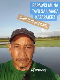 MGA KASAKA ANO KAYA ANG MAGANDANG FOLIAR FERTILIZER, SA BUNTIS AT MILKING  STAGE?