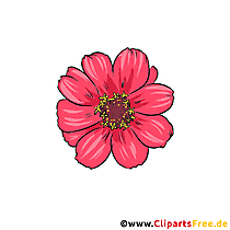 • add boxplot, pareto, waterfall and many other chart types. 154 Fiori Clipart Immagini Grafica Gratis Gif Png Jpg