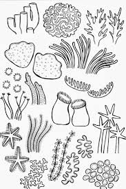 Bluestar Bloggery Great Barrier Reef Loffelblumenstoff Barrier Bloggery Bluestar Great Meer Zeichnung Fische Zeichnen Zeichnungen