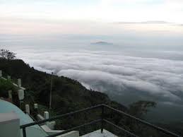 Living In Clouds2 Picture Of Sterling Yercaud Tripadvisor