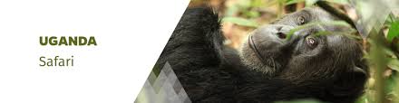 With so much choice, now's the time to book your next big escape. Uganda Safari Urlaub At Reisen