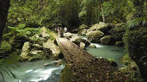 It boasts some of the most interesting attractions around town including dularcha. Best Long Weekend In Australia Sunshine Coast Hinterland Montville And Maleny Escape Com Au