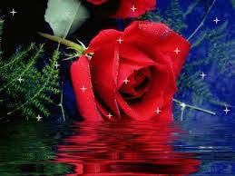 Https Encrypted Tbn0 Gstatic Com Images Q Tbn 3aand9gcqfn4dahqkqgz07wkxnk1nr8sj1jloc Uxtia Usqp Cau
