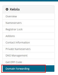 Menggunakan Domain Forwarding Di Clientzone